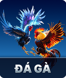 đá gà